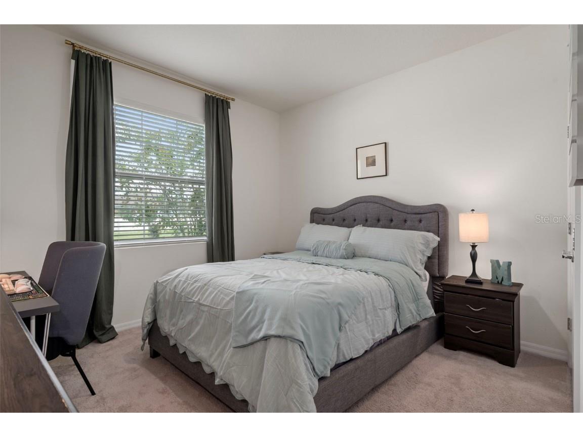 8370 Wheat Stone Drive Zephyrhills FL 33540 TB8418055 image34