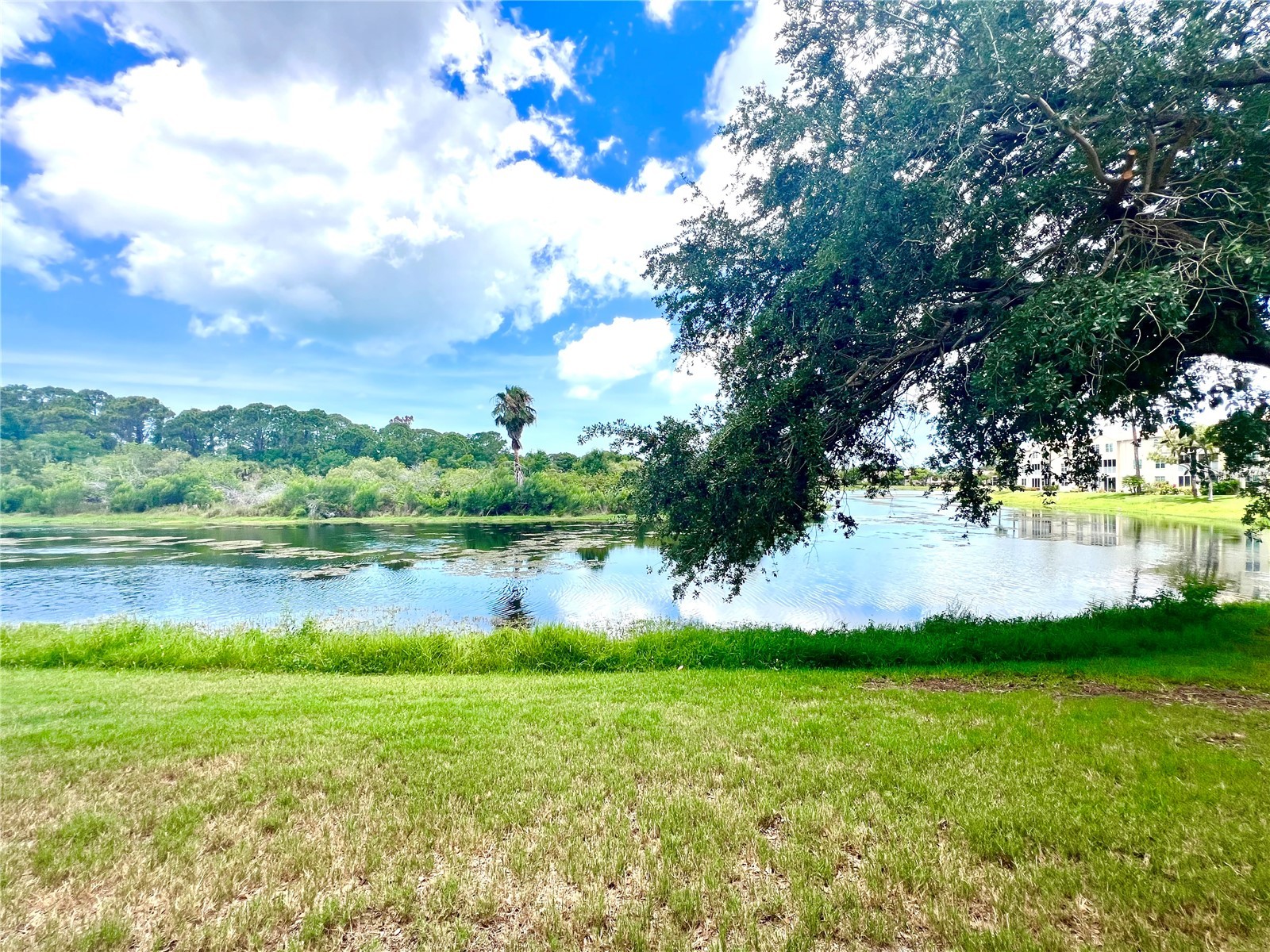 8370 Wingate Drive #726 Sarasota FL 34238 A4694976 image35