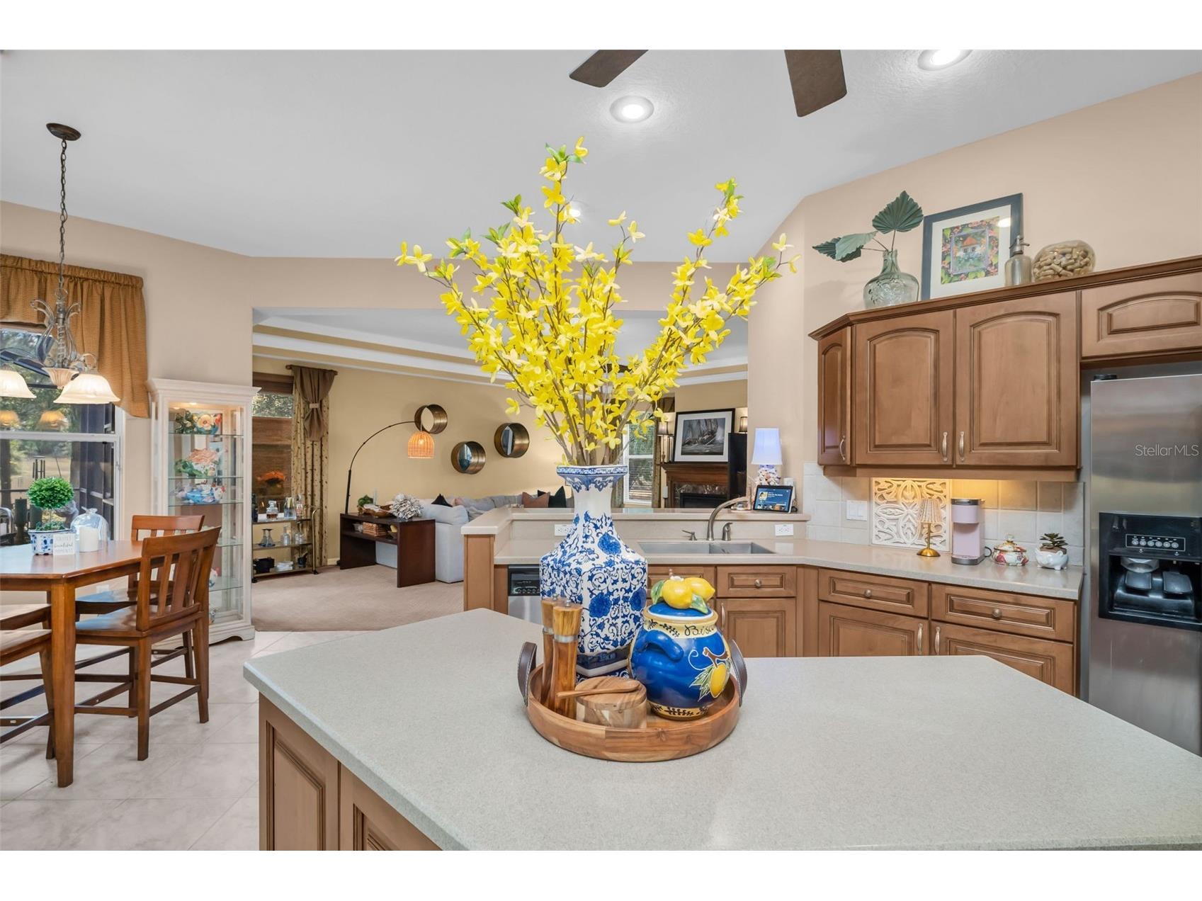 8371 SW 197th Court Dunnellon FL 34432 - RAINBOW RIVER TB8468717 image33
