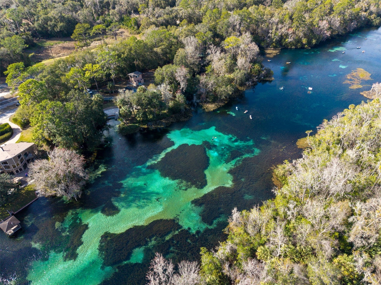 8371 SW 197th Court Dunnellon FL 34432 - RAINBOW RIVER TB8468717 image62