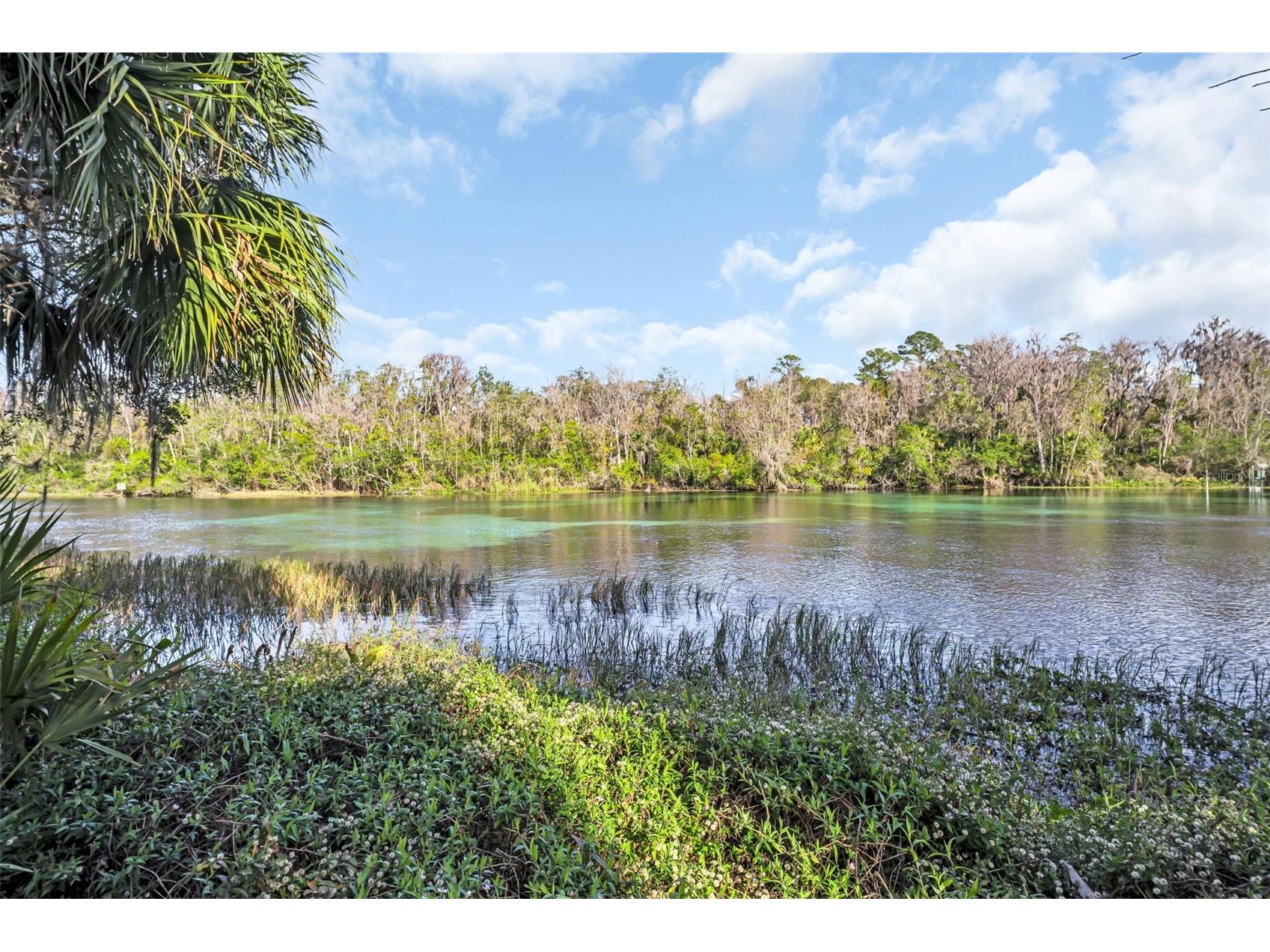 8371 SW 197th Court Dunnellon FL 34432 - RAINBOW RIVER TB8468717 image64