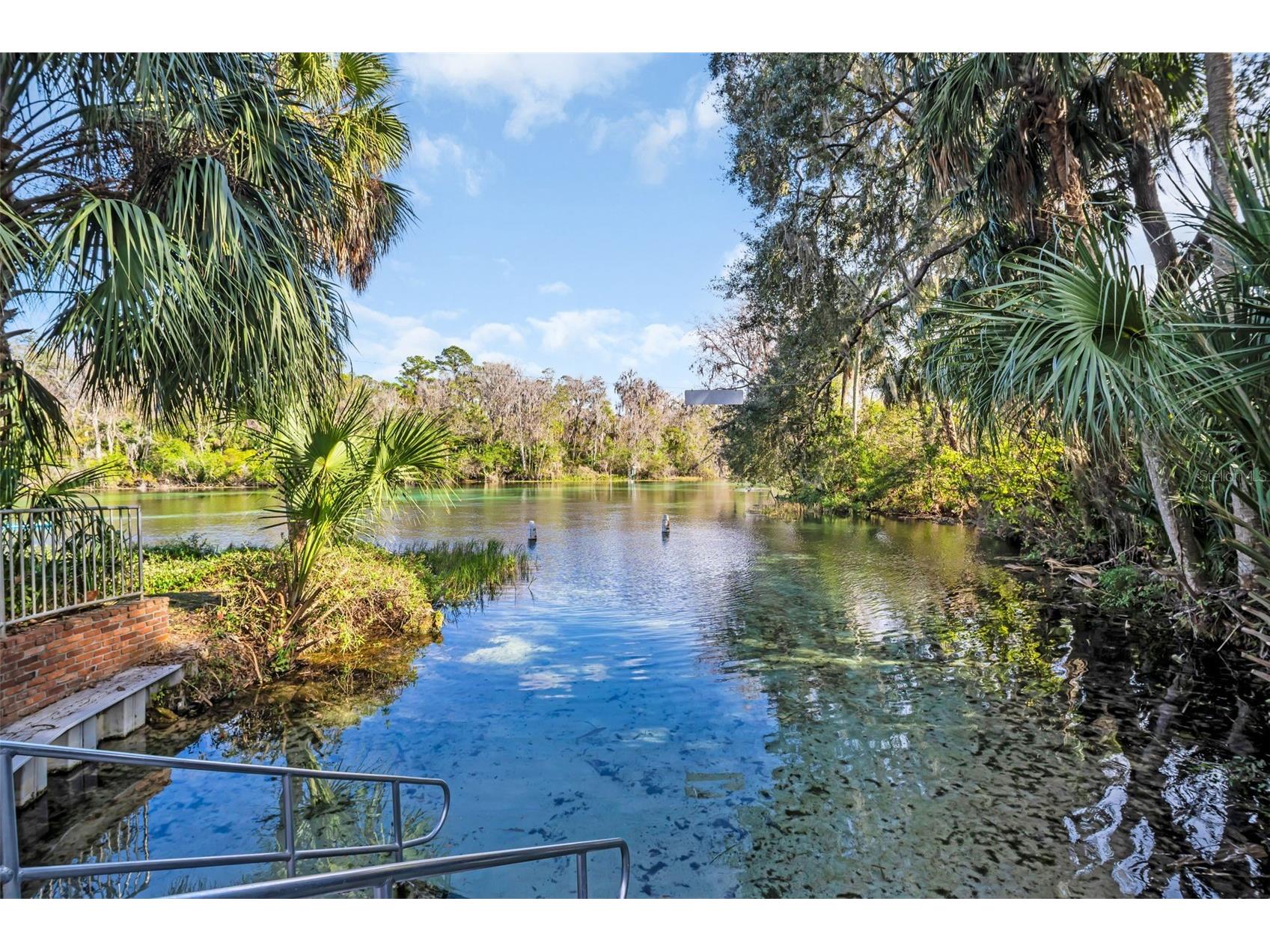 8371 SW 197th Court Dunnellon FL 34432 - RAINBOW RIVER TB8468717 image65