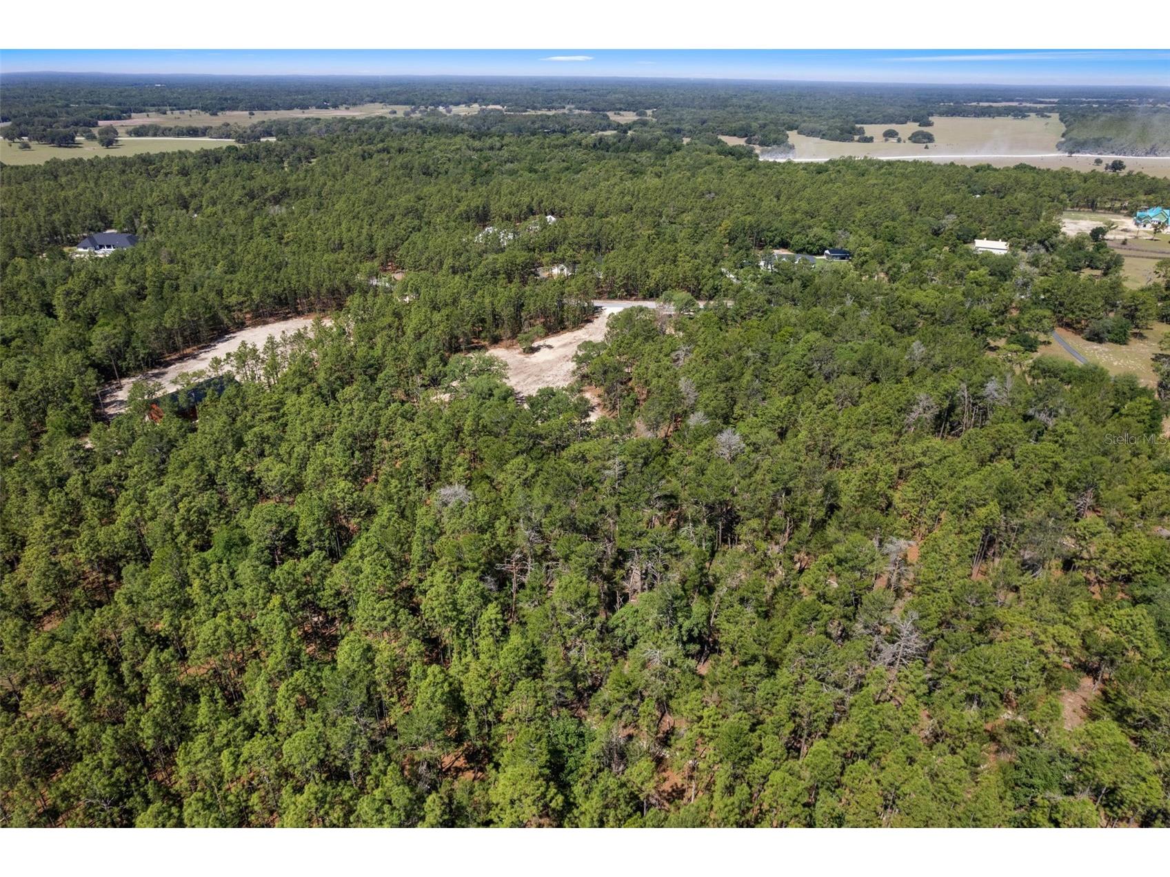 8373 NW 26th Street Wildwood FL 34785 OM724125 image13