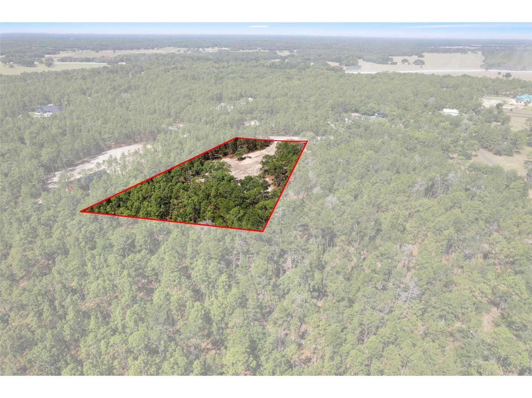 8373 NW 26th Street Wildwood FL 34785 OM724125 image14