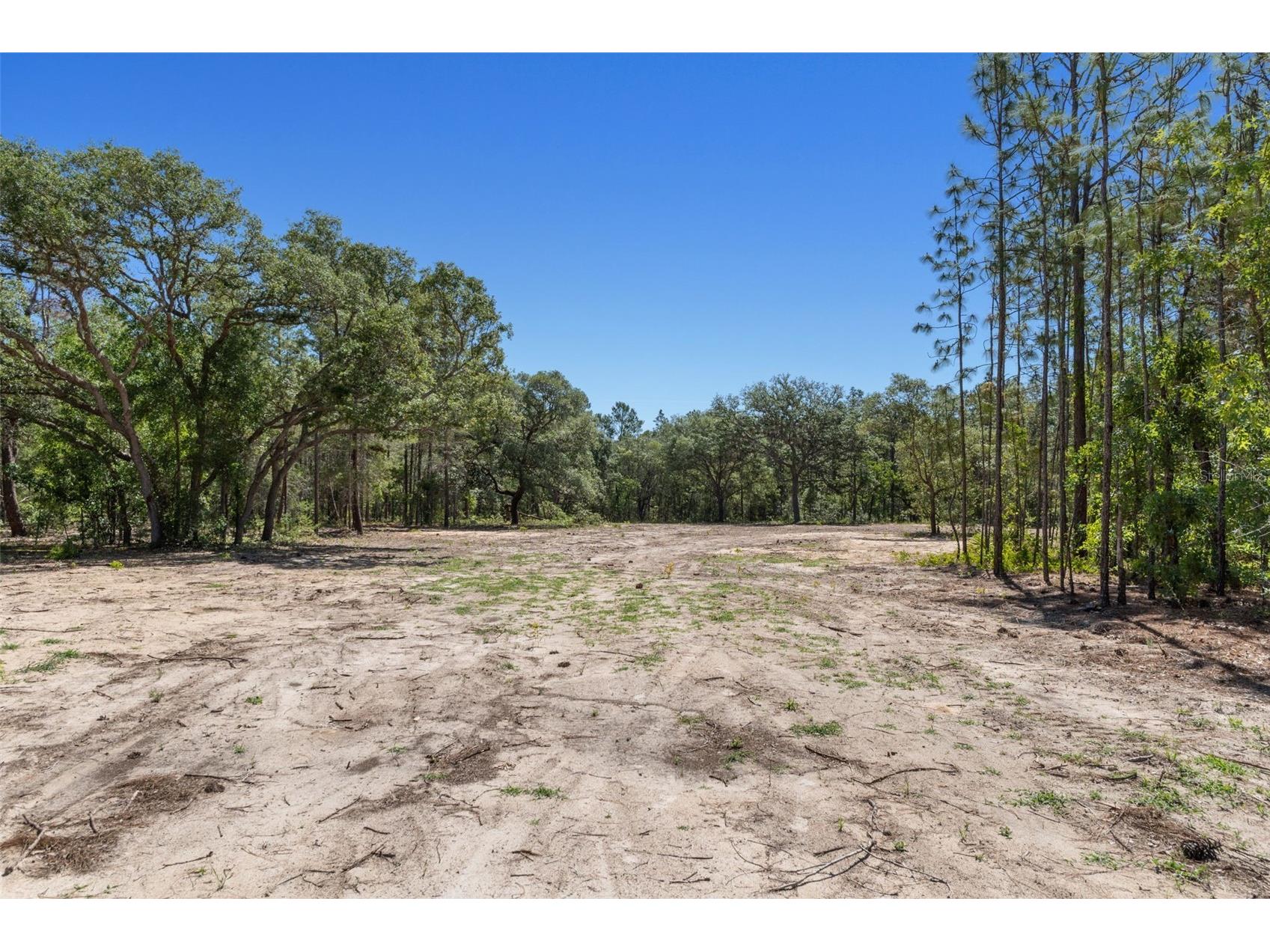 8373 NW 26th Street Wildwood FL 34785 OM724125 image20