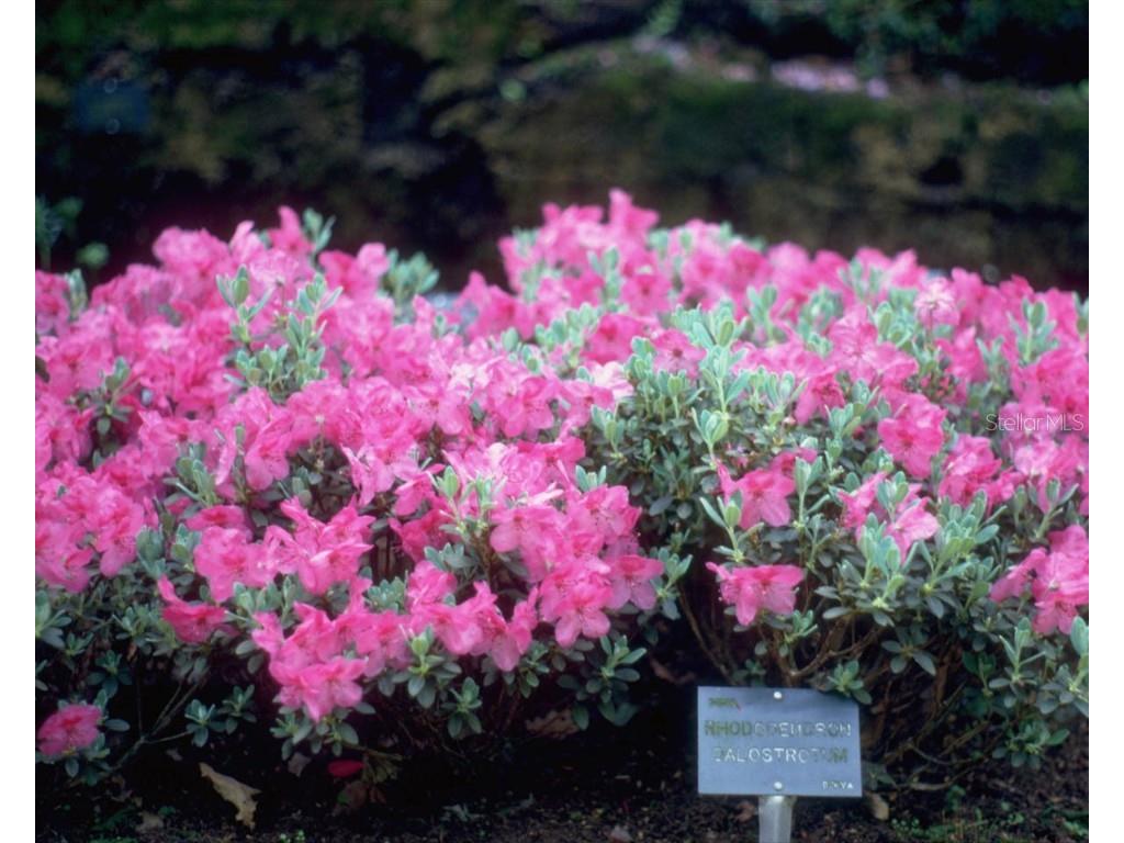 8373 SW 82nd Loop Ocala FL 34481 OM707243 image58