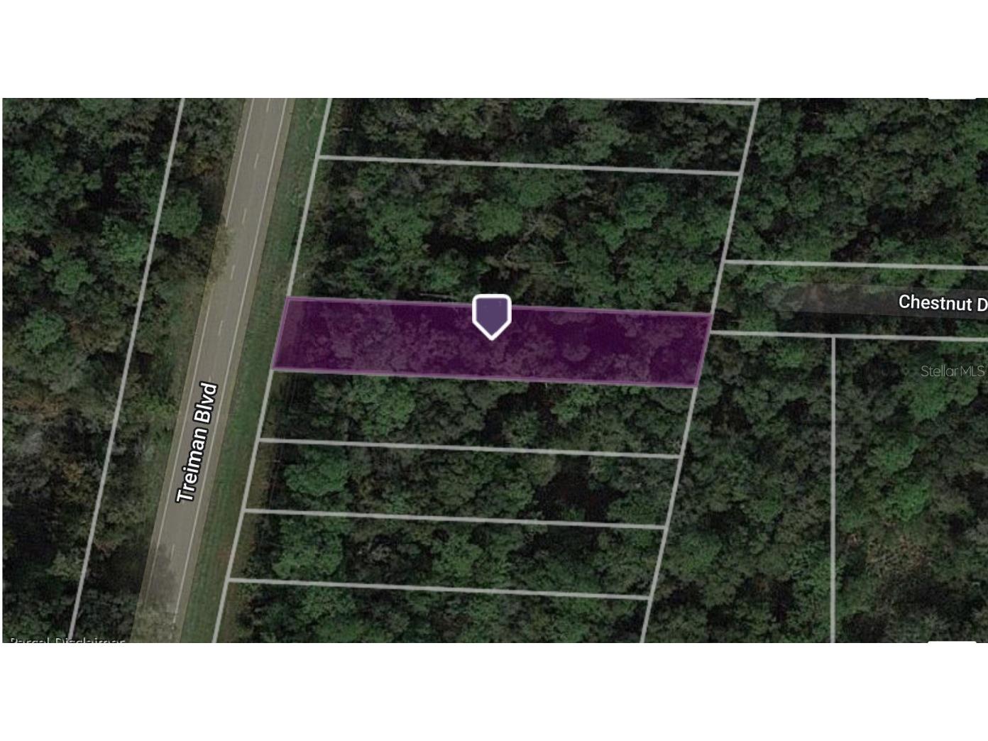 8374 Treiman Boulevard Webster FL 33597 C7474749 image1