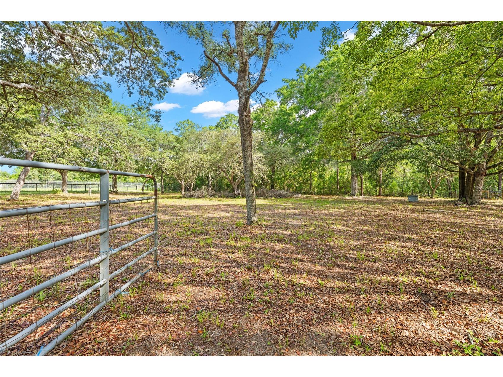 8378 Grove Road Brooksville FL 34613 TB8513757 image32