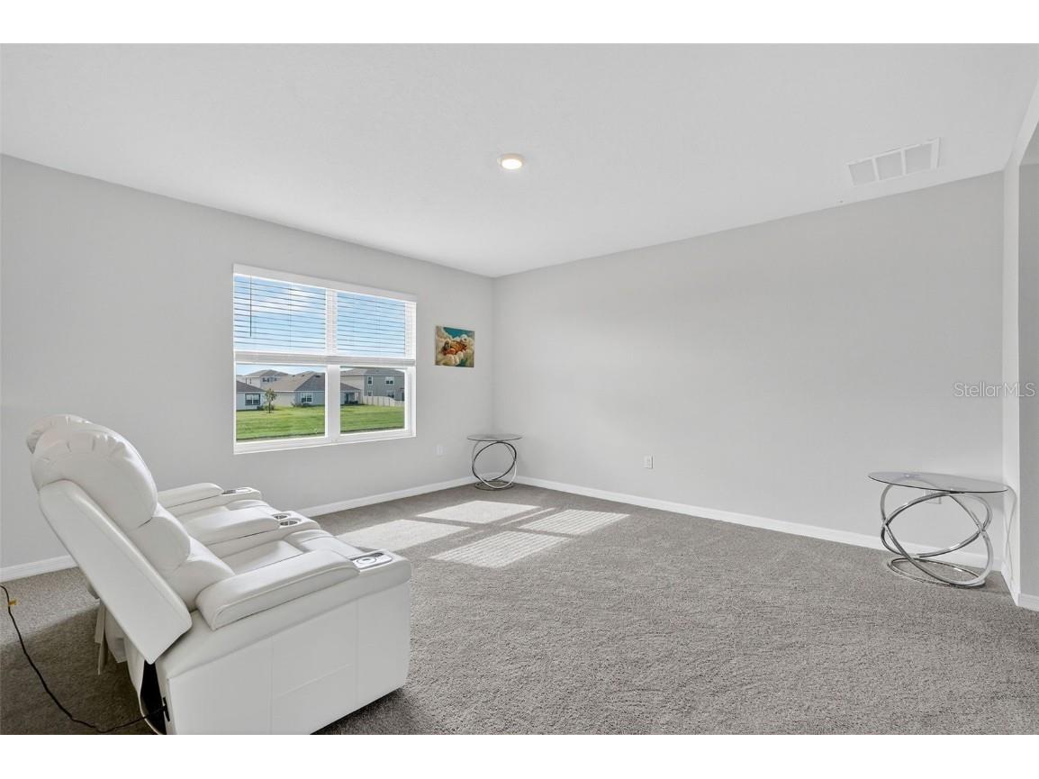 8379 Ender Hills Drive Wesley Chapel FL 33545 TB8433474 image34