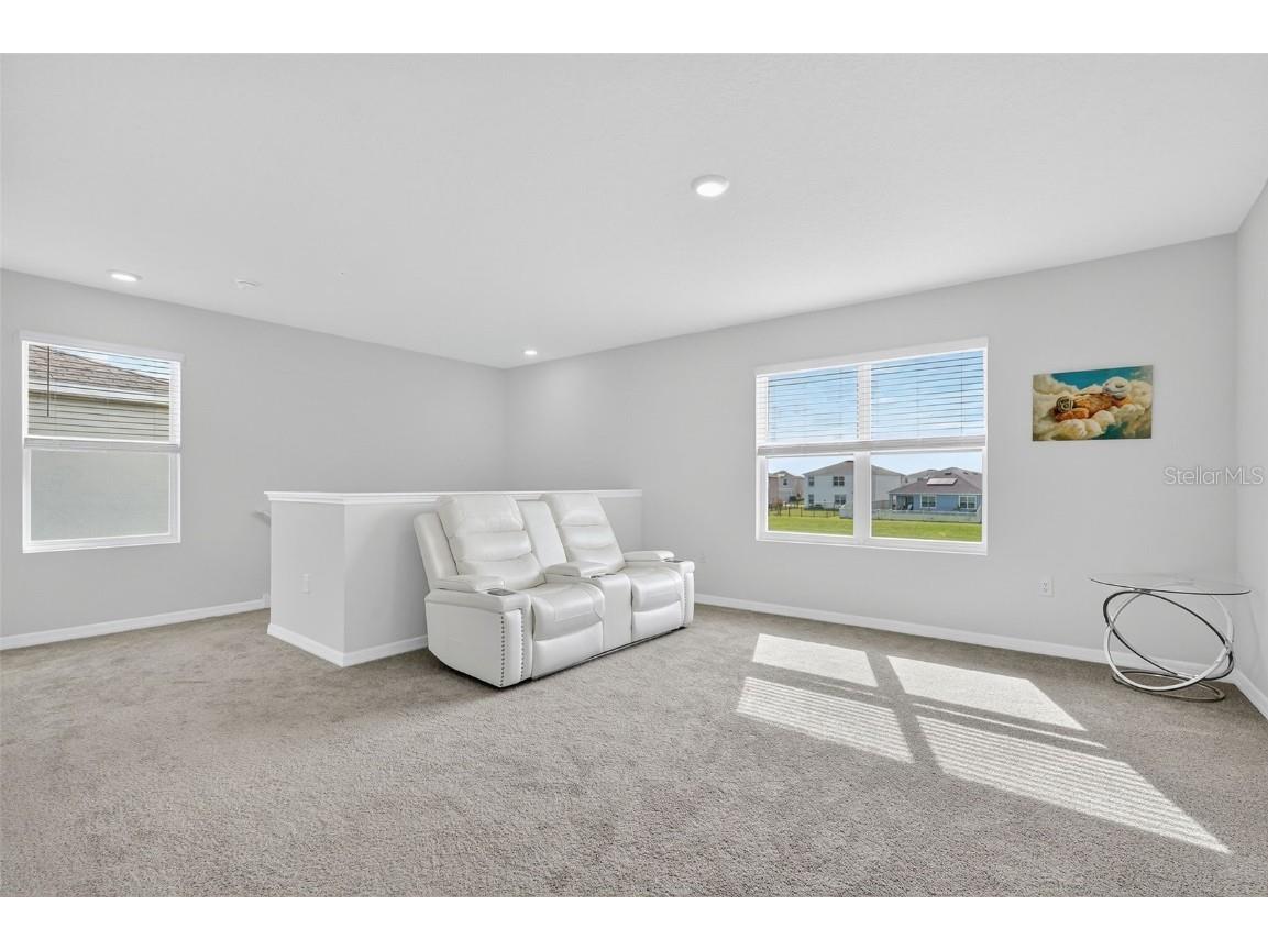 8379 Ender Hills Drive Wesley Chapel FL 33545 TB8433474 image36