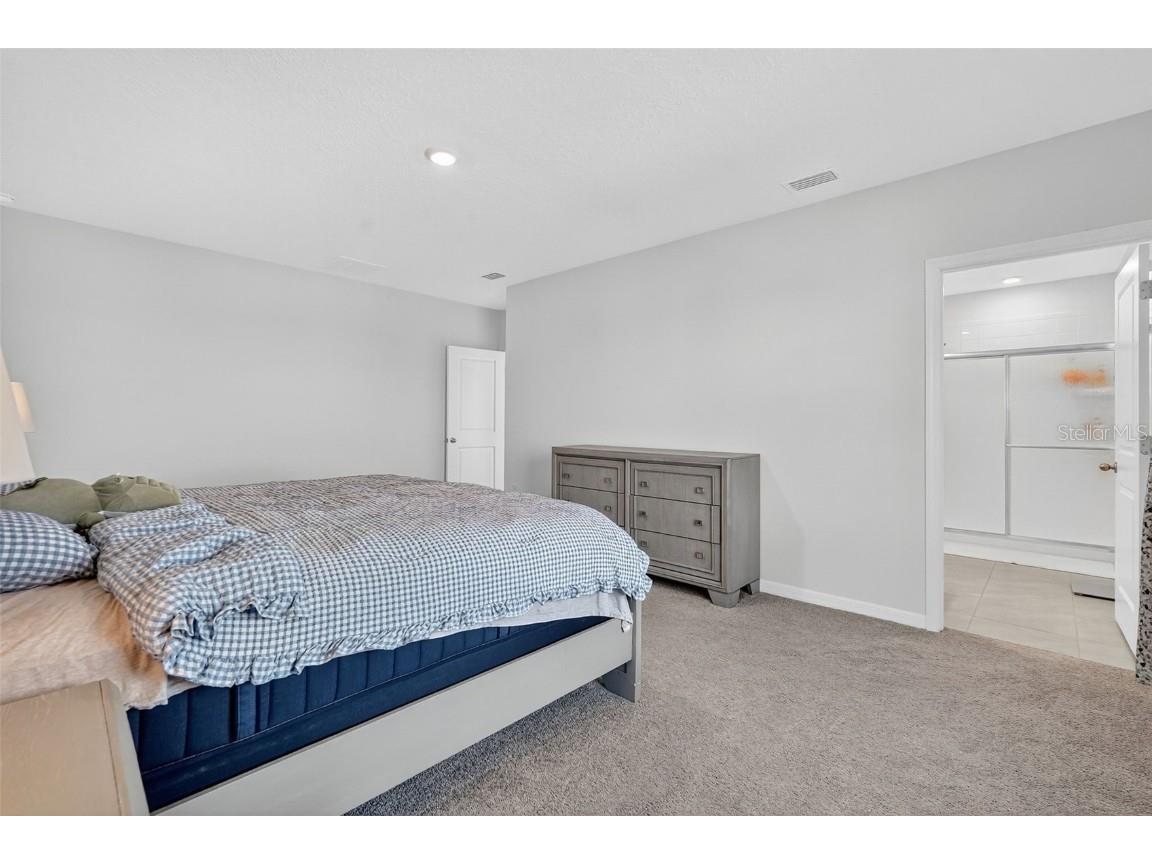 8379 Ender Hills Drive Wesley Chapel FL 33545 TB8433474 image38