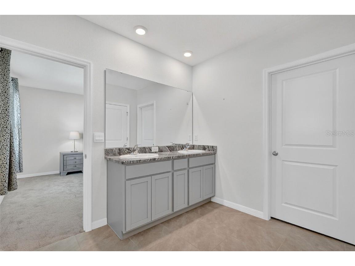 8379 Ender Hills Drive Wesley Chapel FL 33545 TB8433474 image39