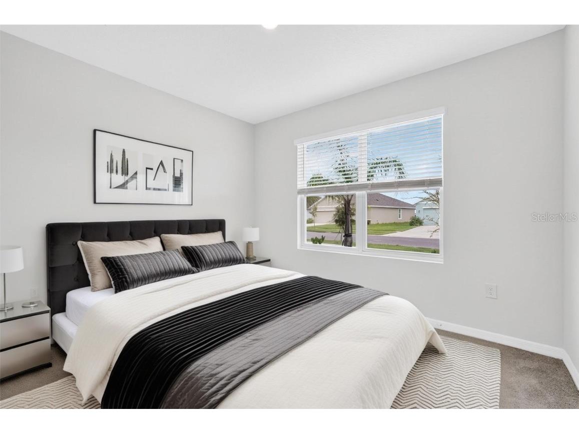 8379 Ender Hills Drive Wesley Chapel FL 33545 TB8433474 image4