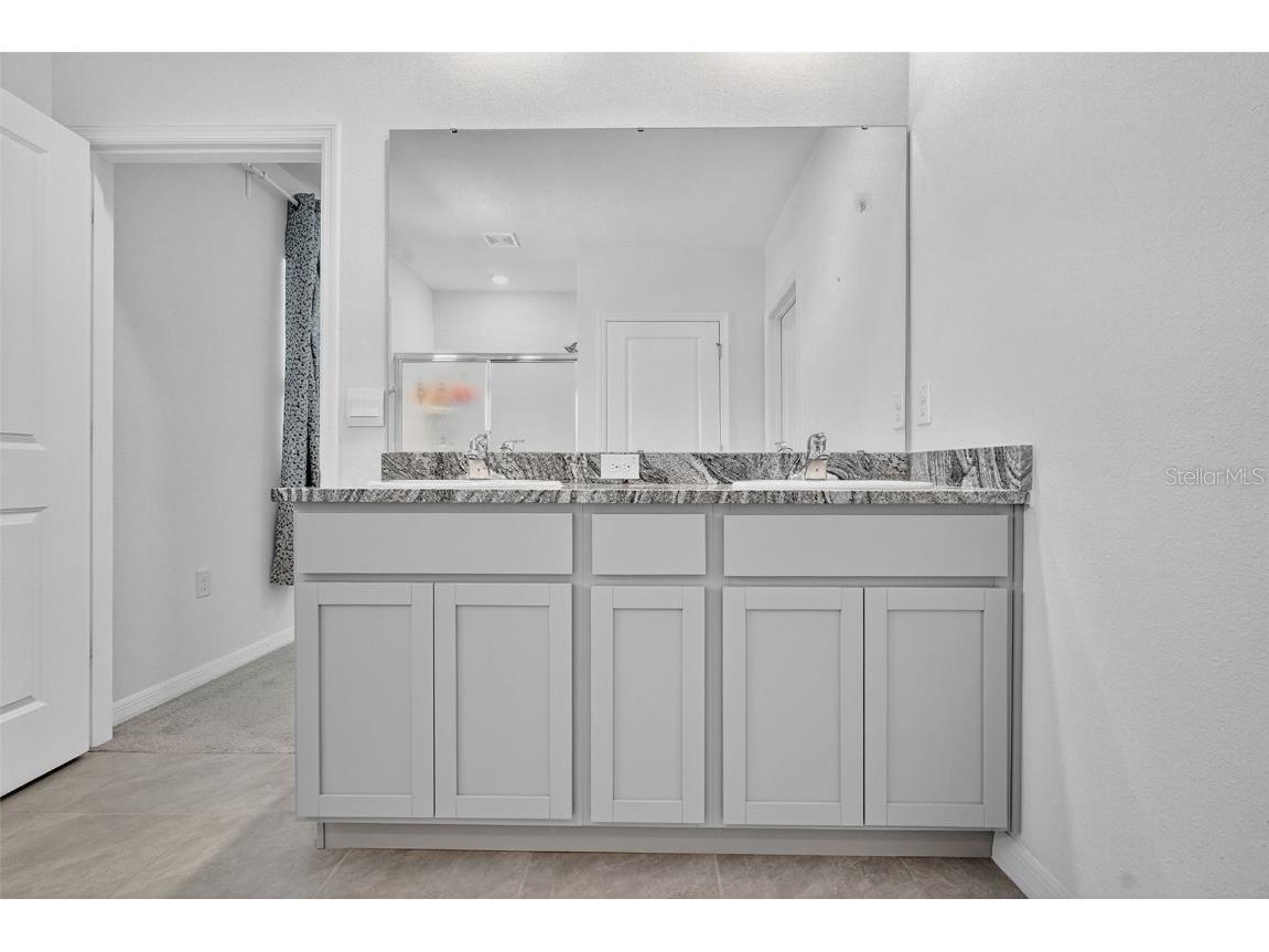 8379 Ender Hills Drive Wesley Chapel FL 33545 TB8433474 image40