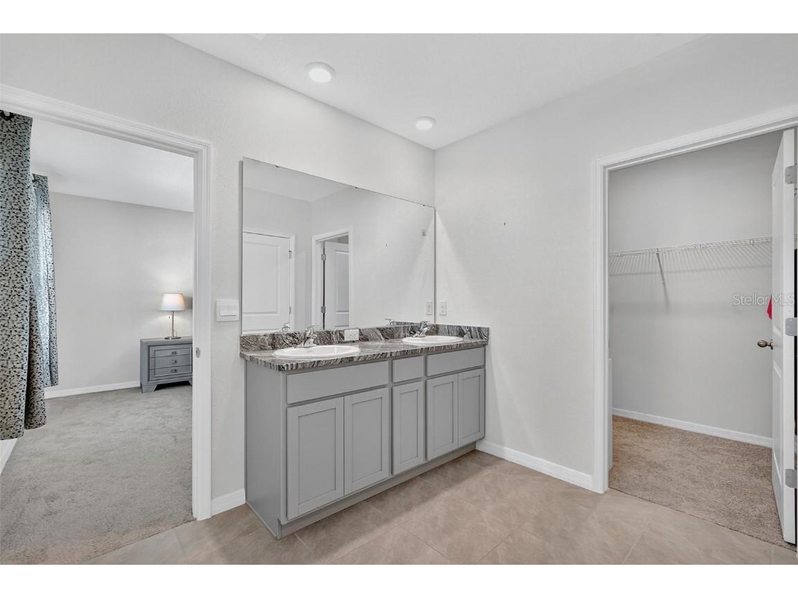 8379 Ender Hills Drive Wesley Chapel FL 33545 TB8433474 image41