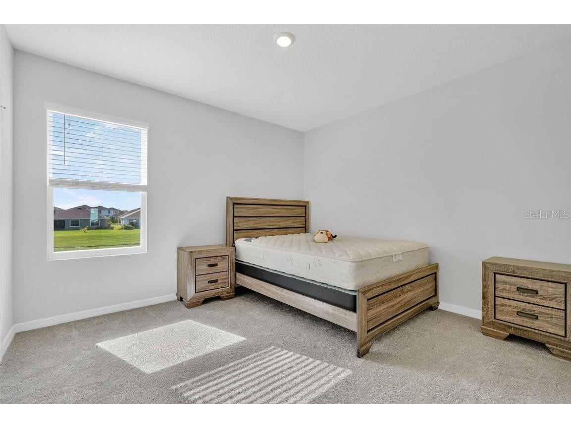 8379 Ender Hills Drive Wesley Chapel FL 33545 TB8433474 image43