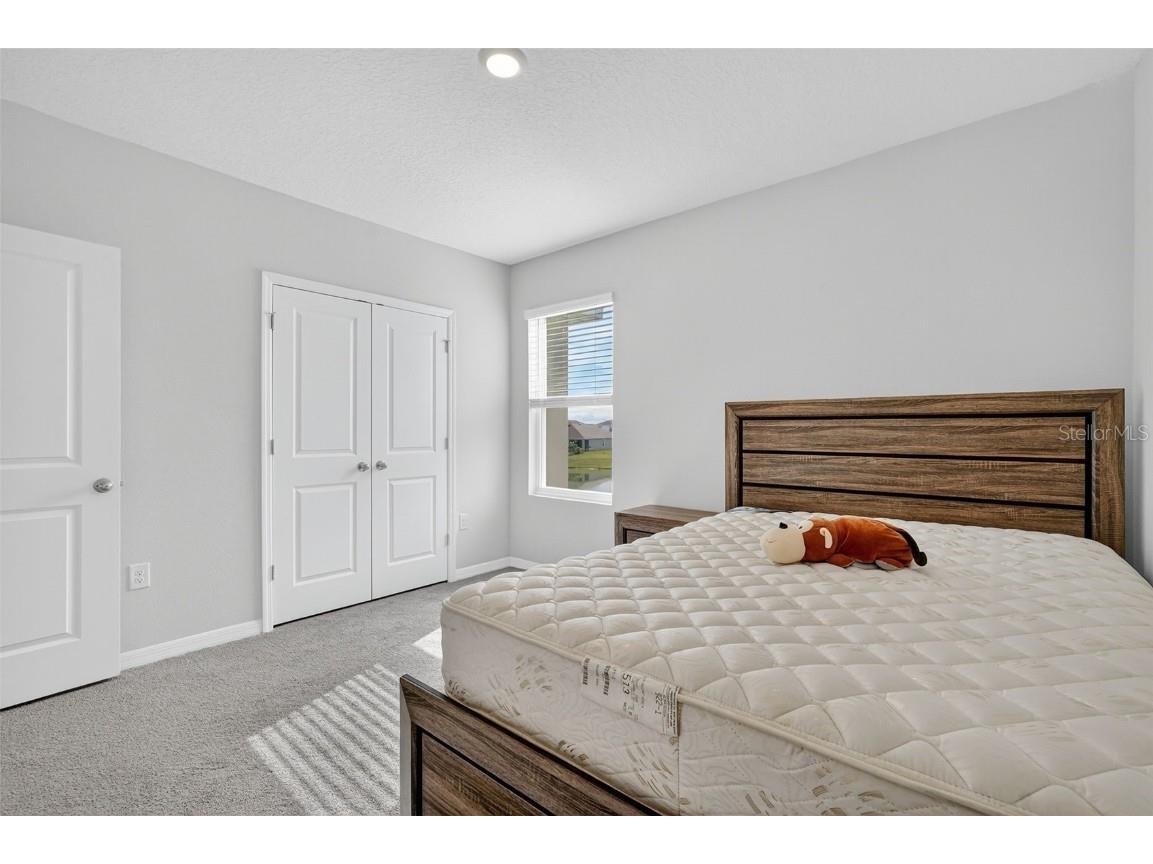 8379 Ender Hills Drive Wesley Chapel FL 33545 TB8433474 image44