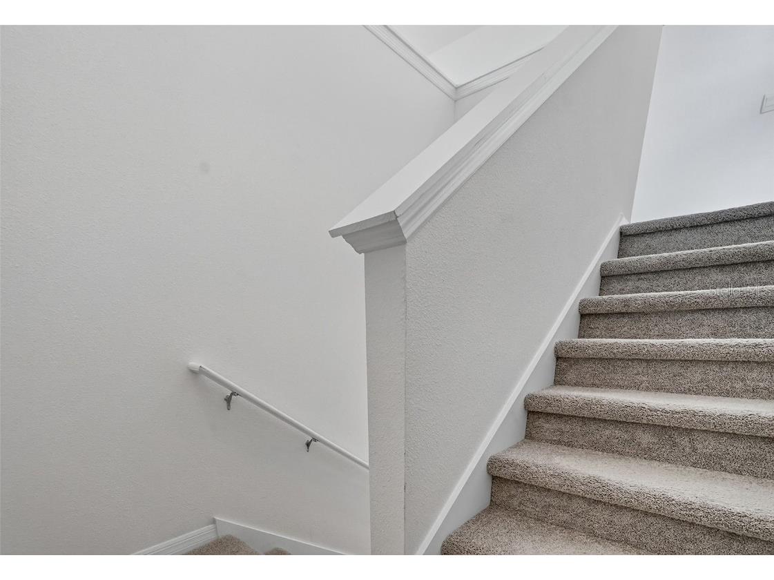 8379 Ender Hills Drive Wesley Chapel FL 33545 TB8433474 image49