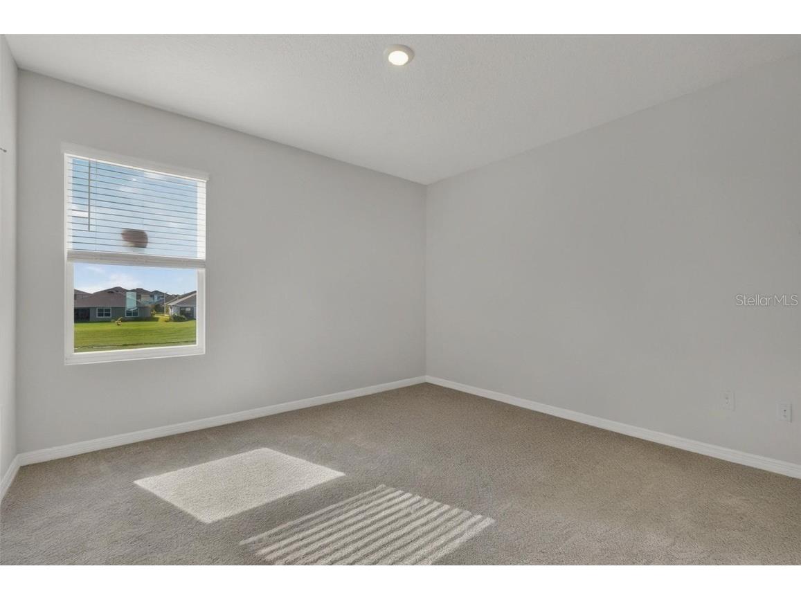 8379 Ender Hills Drive Wesley Chapel FL 33545 TB8433474 image94