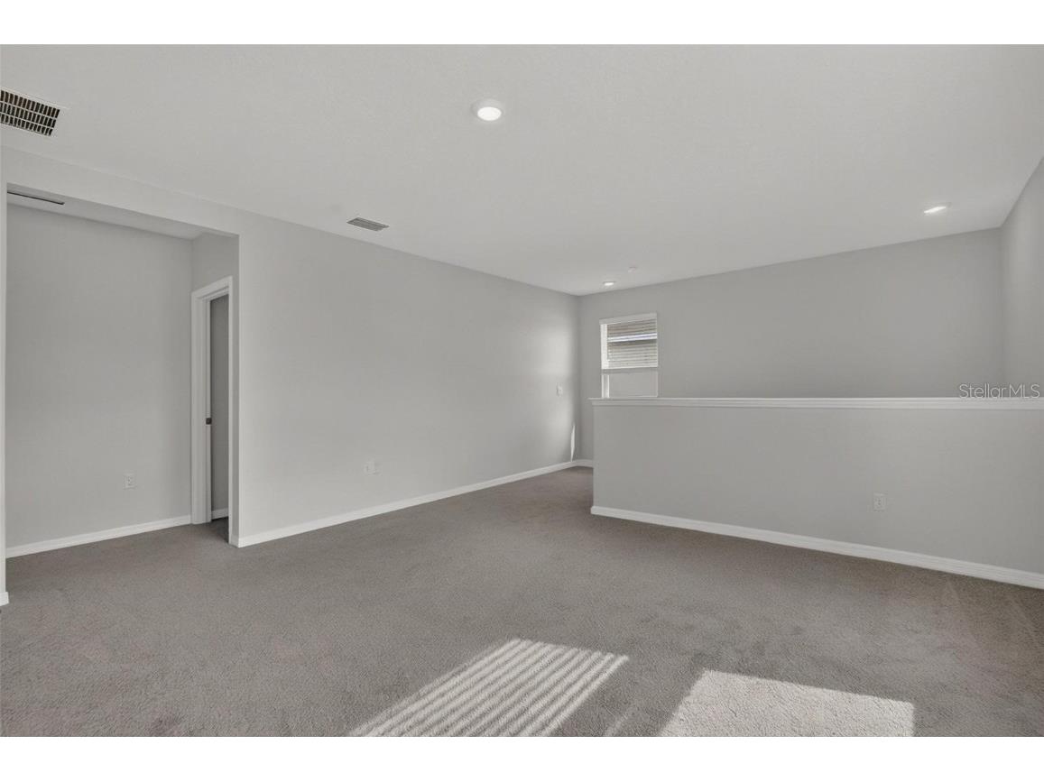 8379 Ender Hills Drive Wesley Chapel FL 33545 TB8433474 image98