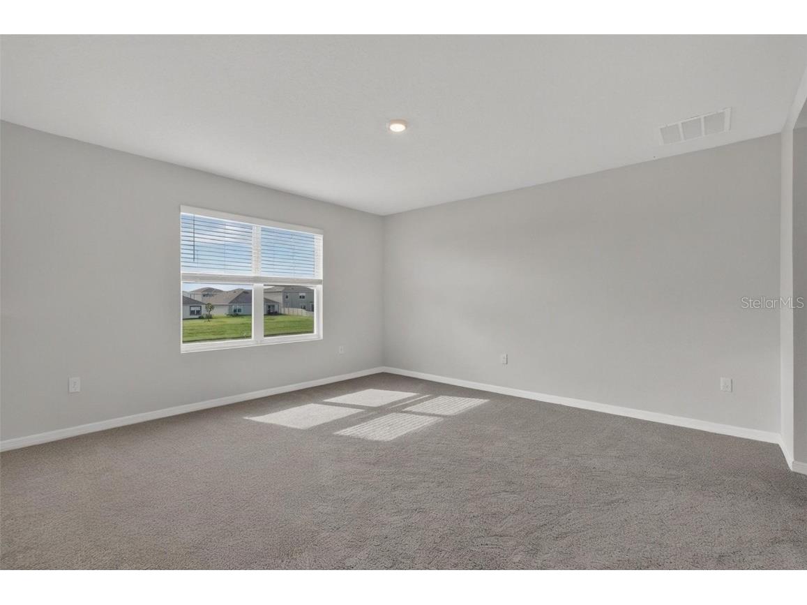 8379 Ender Hills Drive Wesley Chapel FL 33545 TB8433474 image99