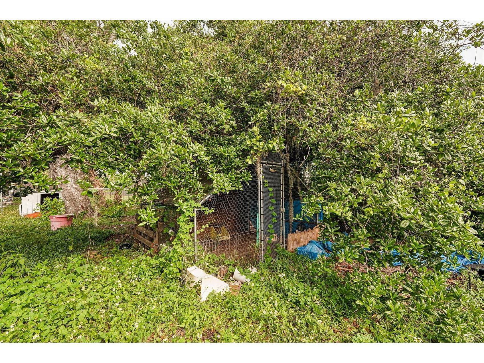 838 Cordele Avenue NW Port Charlotte FL 33948 TB8500353 image34