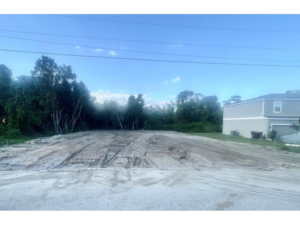 838 Hudson Valley Drive Kissimmee FL 34759 S5138422 image4