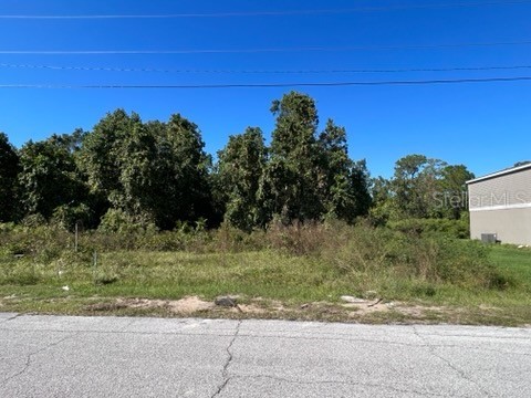 838 Hudson Valley Drive Poinciana FL 34759 O6067587 image1