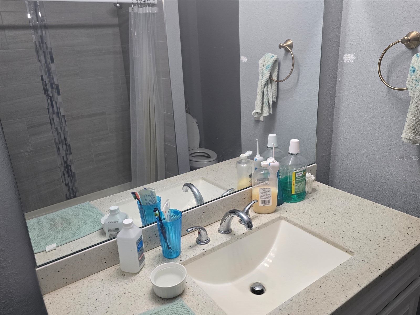 838 NW 124th Street Citra FL 32113 OM715648 image25