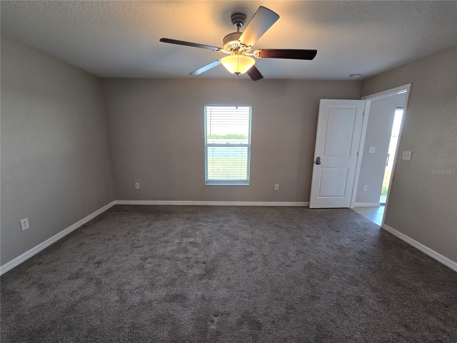 838 Olive Conch Street Ruskin FL 33570 TB8519917 image11