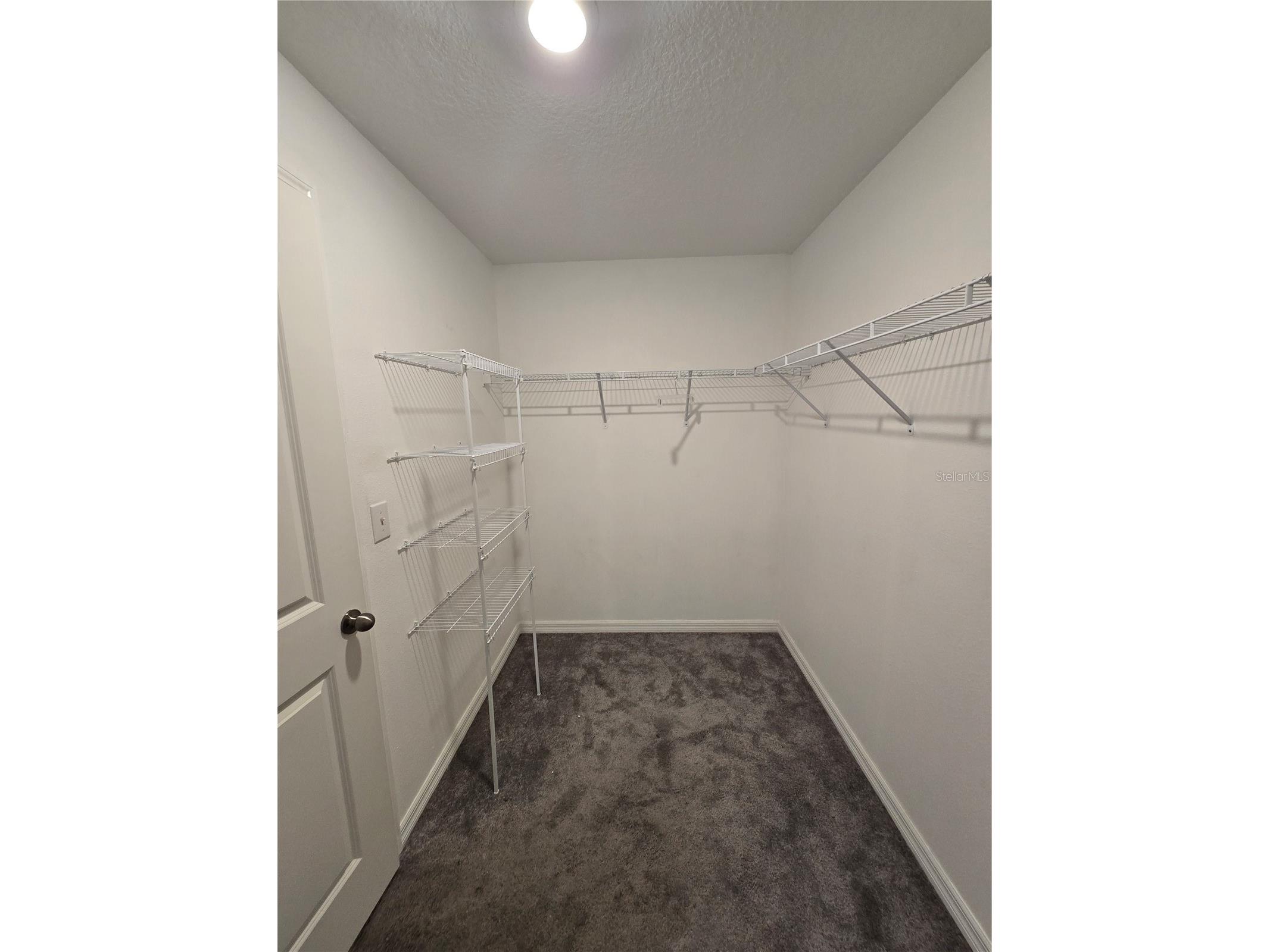 838 Olive Conch Street Ruskin FL 33570 TB8519917 image15
