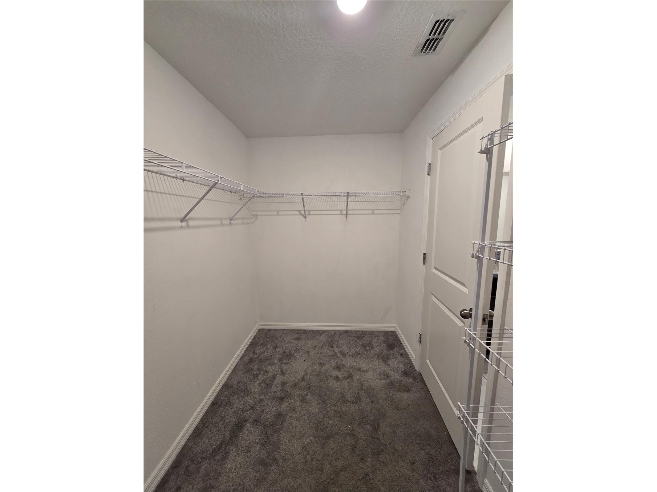 838 Olive Conch Street Ruskin FL 33570 TB8519917 image16