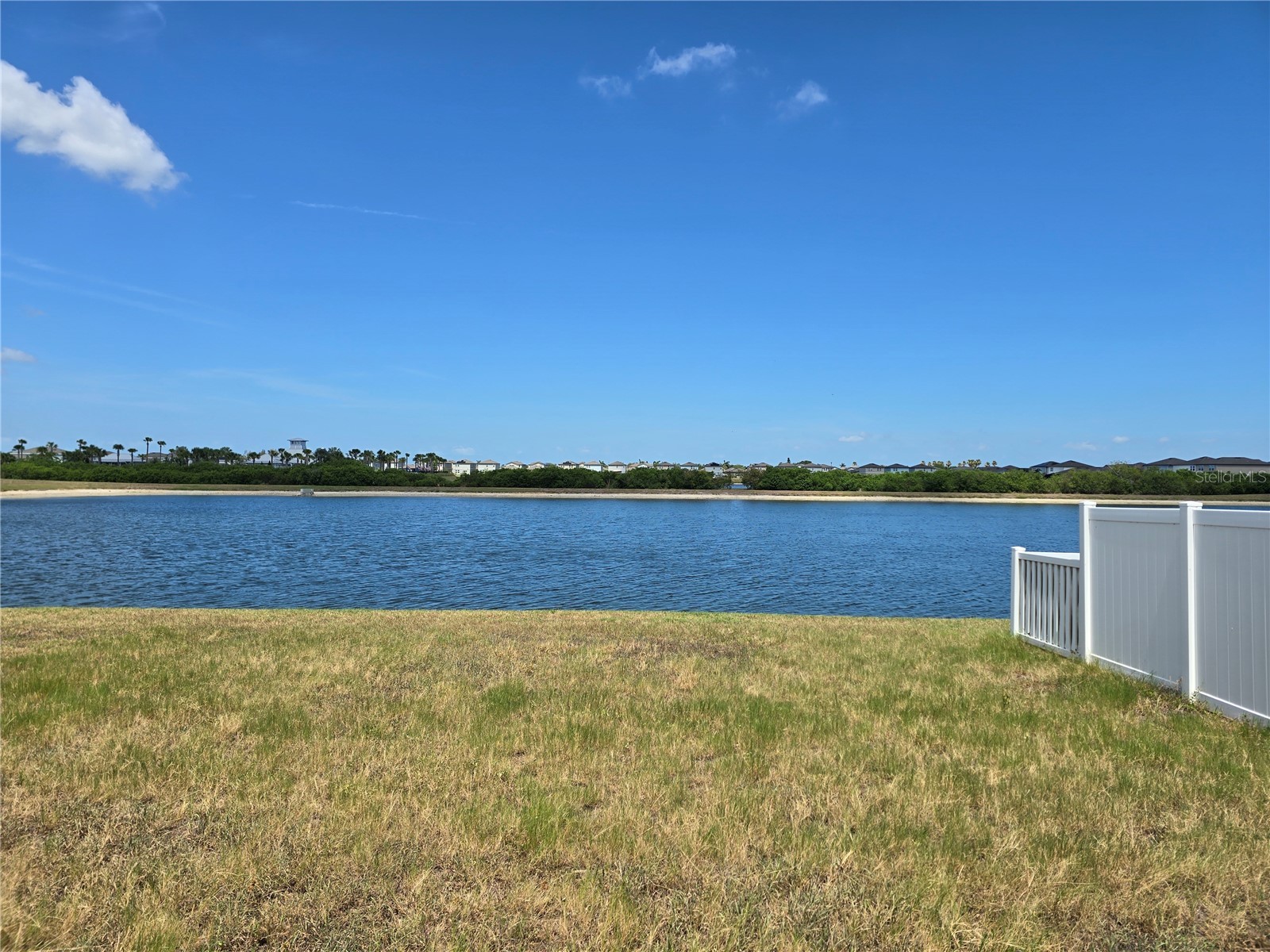 838 Olive Conch Street Ruskin FL 33570 TB8519917 image18