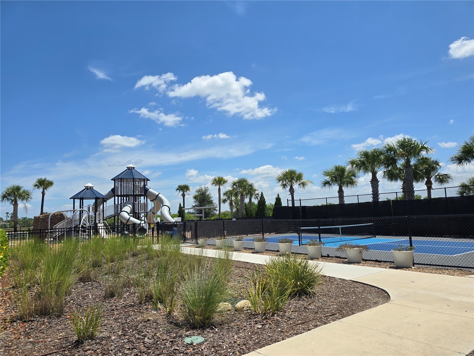 838 Olive Conch Street Ruskin FL 33570 TB8519917 image22