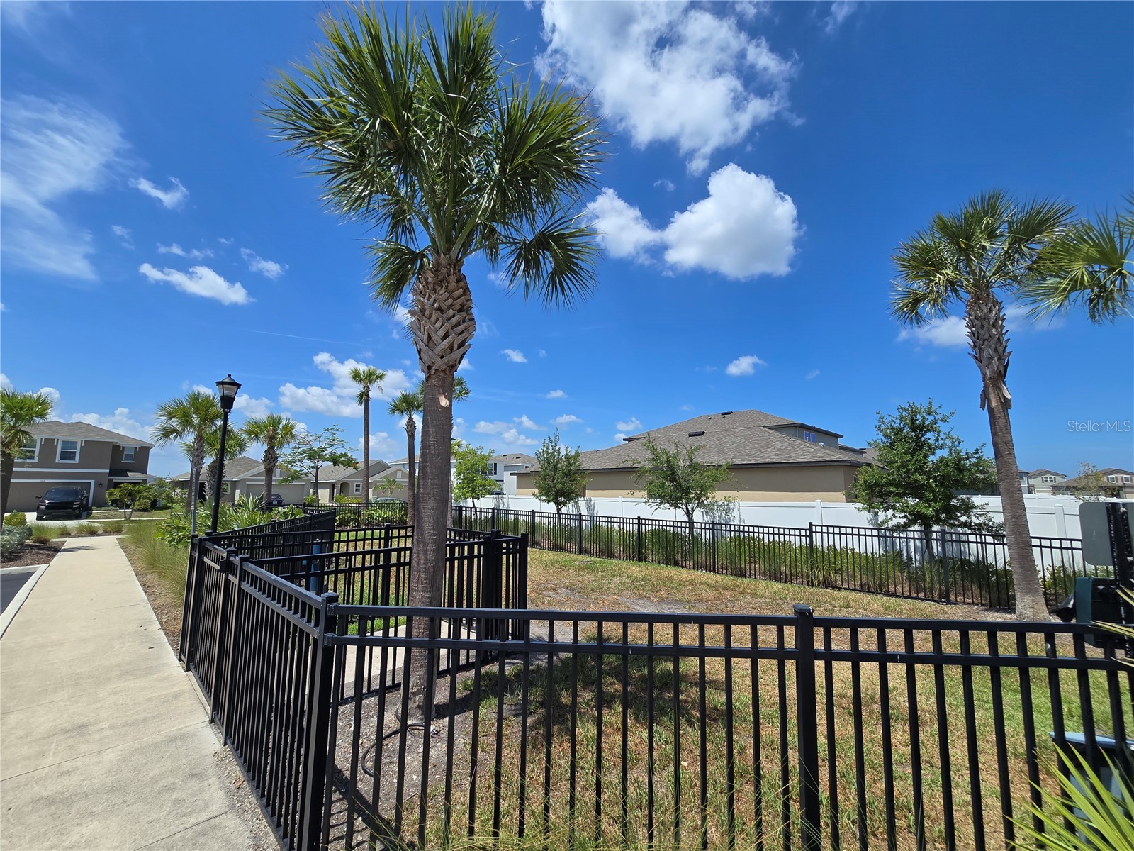838 Olive Conch Street Ruskin FL 33570 TB8519917 image23