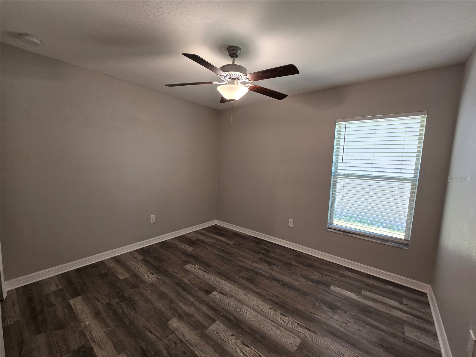 838 Olive Conch Street Ruskin FL 33570 TB8519917 image4