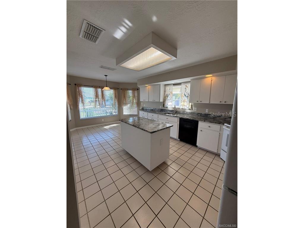 838 W Bogart Court Beverly Hills FL 34465 TB8500084 image6