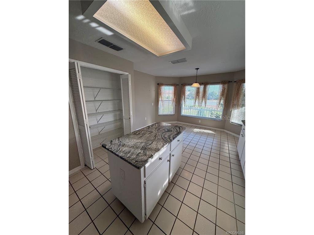 838 W Bogart Court Beverly Hills FL 34465 TB8500084 image7