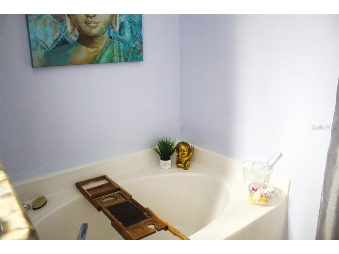 838 Welch Hill Circle Apopka FL 32712 O6346265 image13