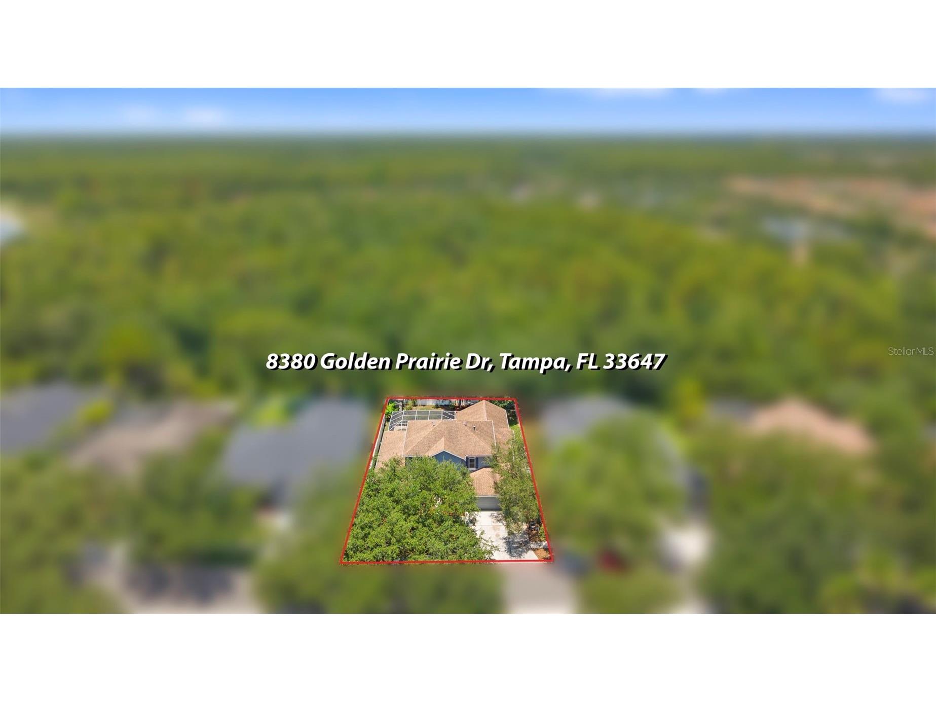 8380 Golden Prairie Drive Tampa FL 33647 TB8521580 image92
