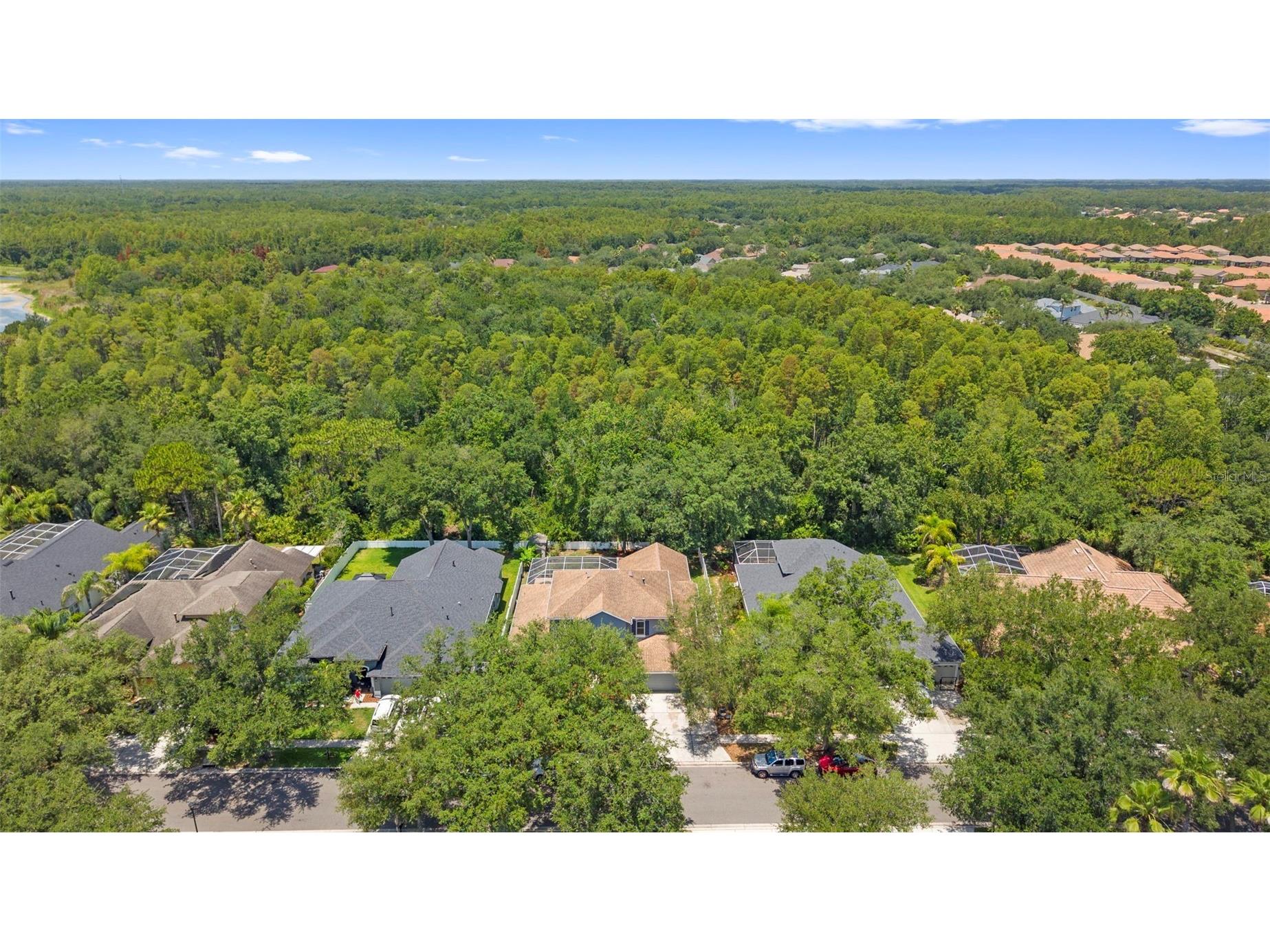 8380 Golden Prairie Drive Tampa FL 33647 TB8521580 image93