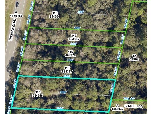 8380 Treiman Boulevard Webster FL 33597 OM703251 image1