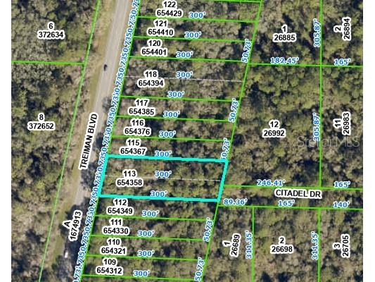 8380 Treiman Boulevard Webster FL 33597 OM703251 image2