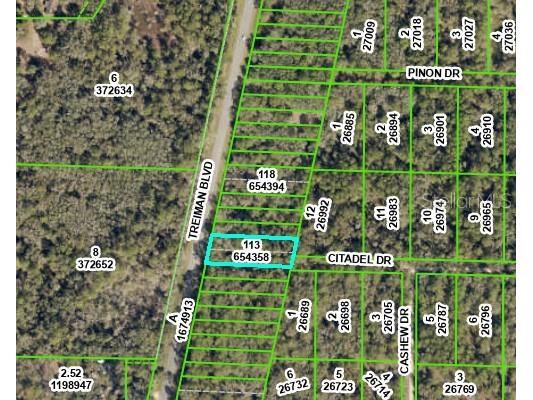 8380 Treiman Boulevard Webster FL 33597 OM703251 image3