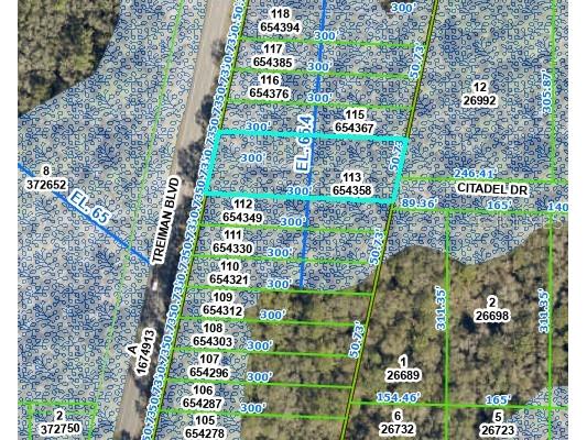 8380 Treiman Boulevard Webster FL 33597 OM703251 image5