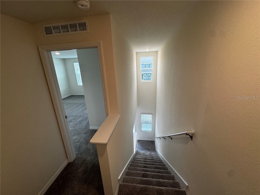 8381 Gower Trail Wildwood FL 34785 G5105335 image8