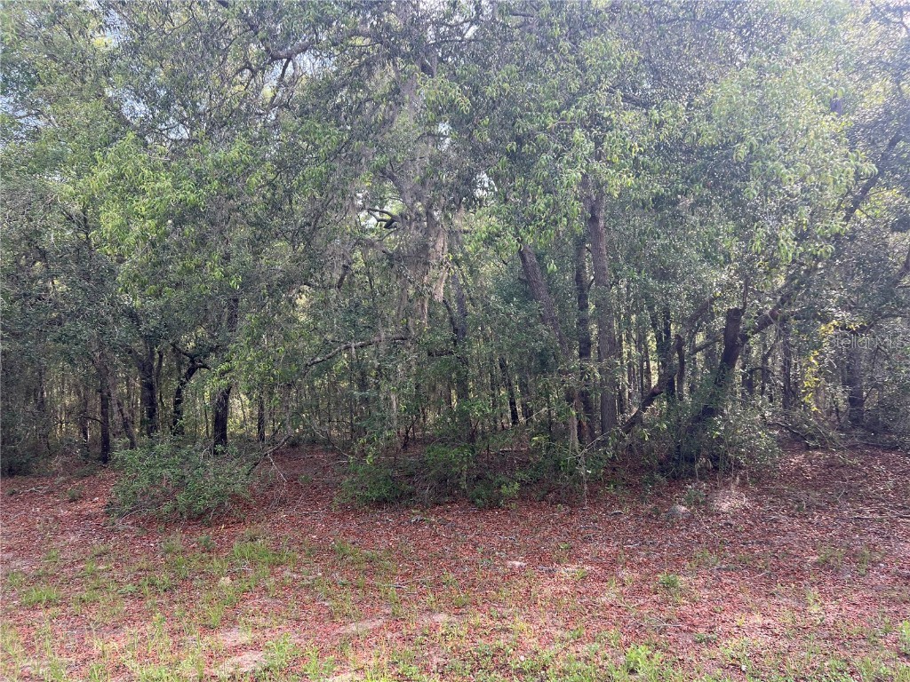 8381 N Quarry Drive Citrus Springs FL 34434 G5097450 image1