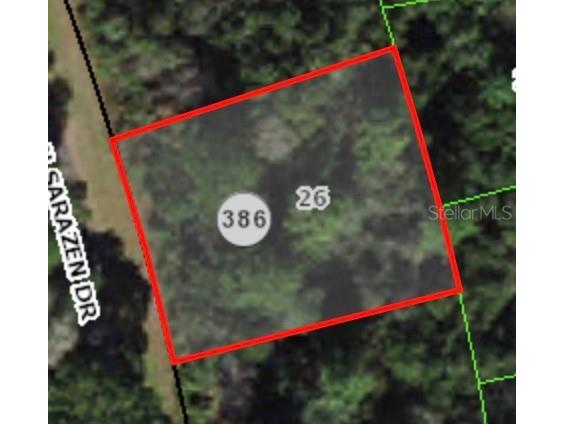 8381 N Sarazen Drive Citrus Springs FL 34434 A4578398 image1