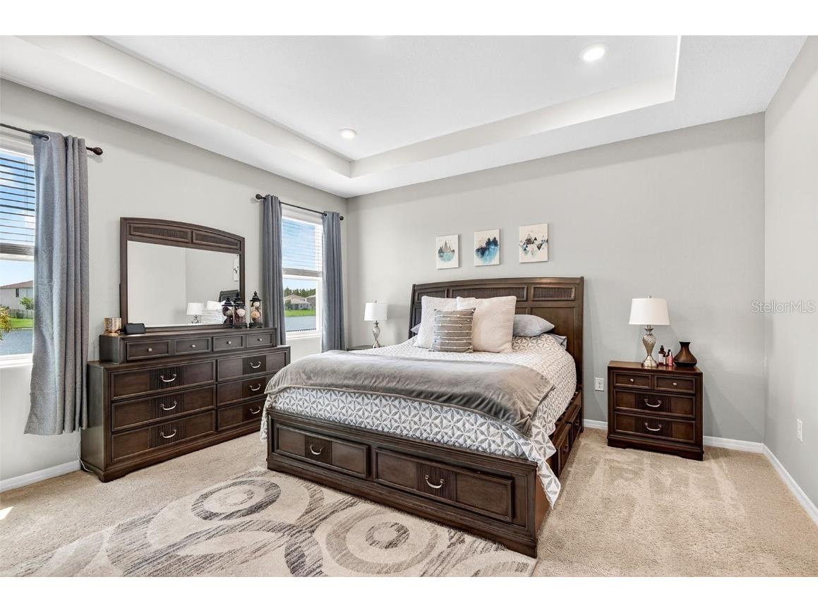 8382 Bower Bass Circle Wesley Chapel FL 33545 TB8458910 image20