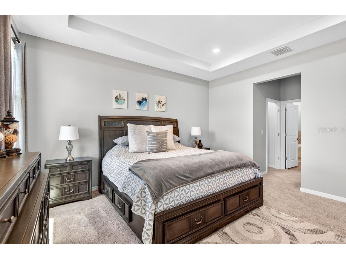 8382 Bower Bass Circle Wesley Chapel FL 33545 TB8458910 image21